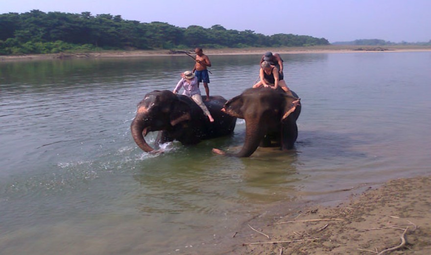 Elephant Bathing in Chitwan